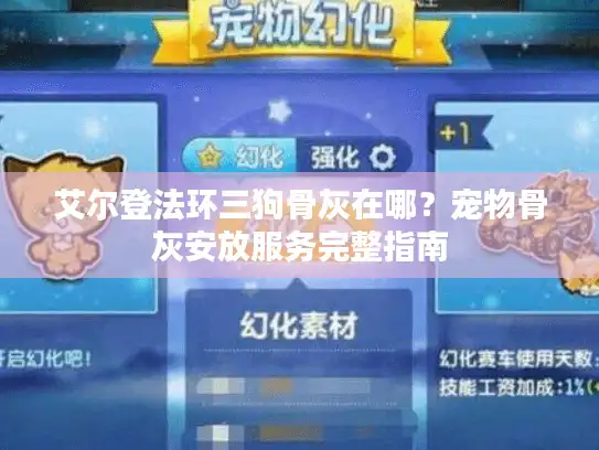 艾尔登法环三狗骨灰在哪？宠物骨灰安放服务完整指南