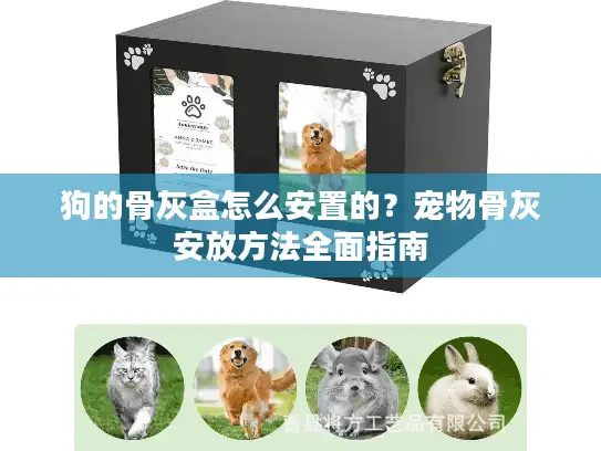 狗的骨灰盒怎么安置的？宠物骨灰安放方法全面指南