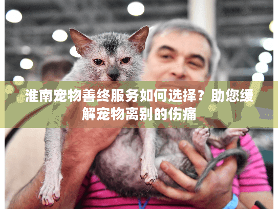 淮南宠物善终服务如何选择?助您缓解宠物离别的伤痛 淮南宠物善终服务如何选择?助您缓解宠物离别的伤痛