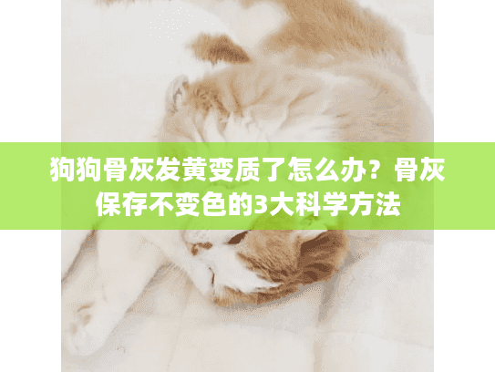狗狗骨灰发黄变质了怎么办?骨灰保存不变色的3大科学方法 狗狗骨灰发黄变质了怎么办?骨灰保存不变色的3大科学方法