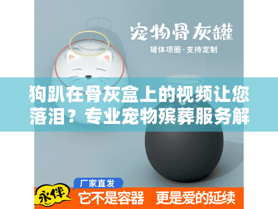 狗趴在骨灰盒上的视频让您落泪?专业宠物殡葬服务解决方案来了 狗趴在骨灰盒上的视频让您落泪?专业宠物殡葬服务解决方案来了