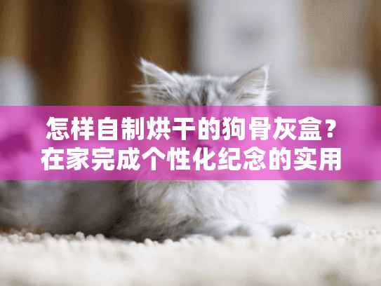 怎样自制烘干的狗骨灰盒？在家完成个性化纪念的实用指南