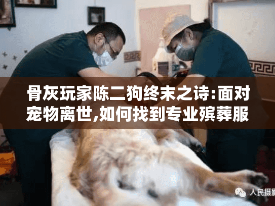 骨灰玩家陈二狗终末之诗:面对宠物离世,如何找到专业殡葬服务? 骨灰玩家陈二狗终末之诗:面对宠物离世,如何找到专业殡葬服务?