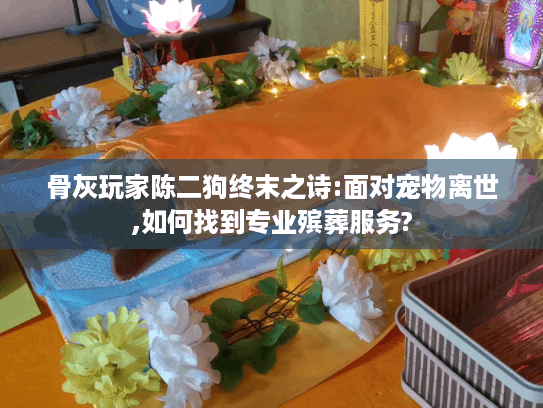 骨灰玩家陈二狗终末之诗:面对宠物离世,如何找到专业殡葬服务? 骨灰玩家陈二狗终末之诗:面对宠物离世,如何找到专业殡葬服务?