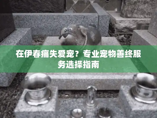在伊春痛失爱宠?专业宠物善终服务选择指南 在伊春痛失爱宠?专业宠物善终服务选择指南