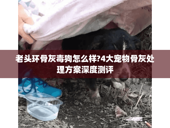 老头环骨灰毒狗怎么样?4大宠物骨灰处理方案深度测评