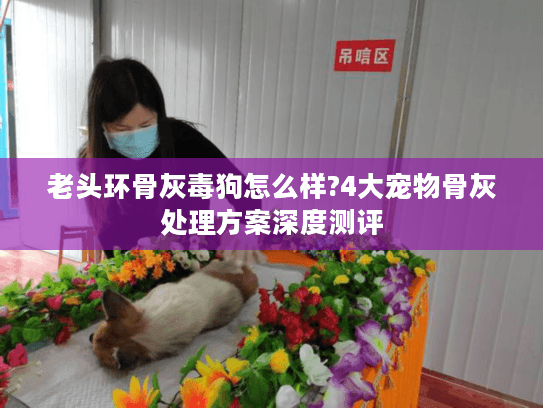 老头环骨灰毒狗怎么样?4大宠物骨灰处理方案深度测评