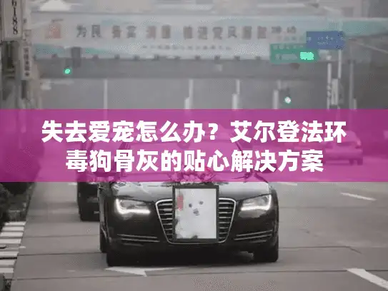 失去爱宠怎么办?艾尔登法环毒狗骨灰的贴心解决方案 失去爱宠怎么办?艾尔登法环毒狗骨灰的贴心解决方案