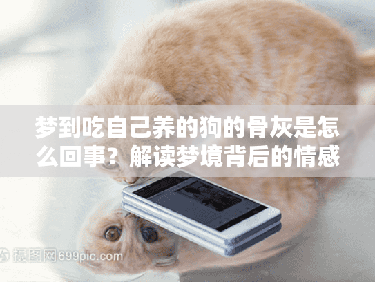 梦到吃自己养的狗的骨灰是怎么回事？解读梦境背后的情感与选择