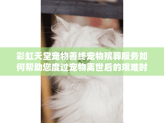 彩虹天堂宠物善终宠物殡葬服务如何帮助您度过宠物离世后的艰难时刻？