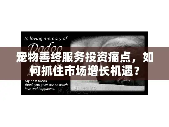 宠物善终服务投资痛点，如何抓住市场增长机遇？