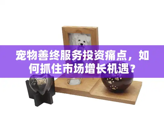 宠物善终服务投资痛点，如何抓住市场增长机遇？