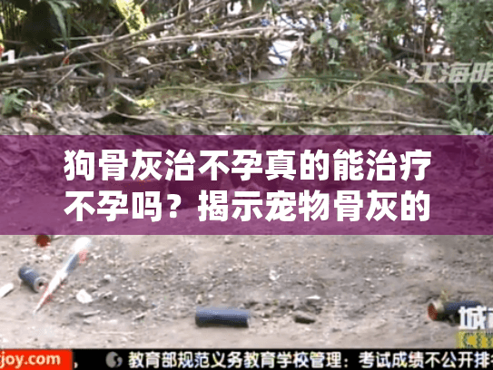 狗骨灰治不孕真的能治疗不孕吗？揭示宠物骨灰的正确利用方式