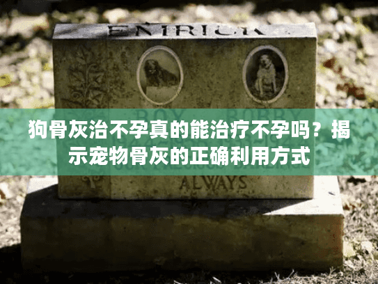 狗骨灰治不孕真的能治疗不孕吗？揭示宠物骨灰的正确利用方式