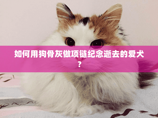 如何用狗骨灰做项链纪念逝去的爱犬？