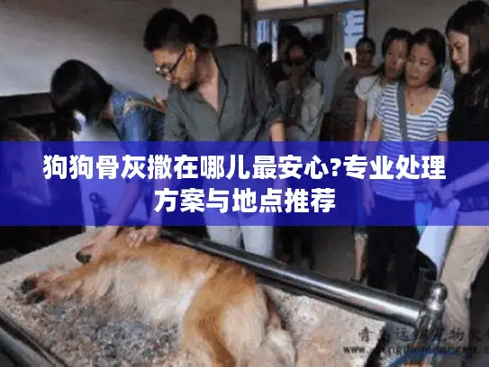 狗狗骨灰撒在哪儿最安心?专业处理方案与地点推荐 狗狗骨灰撒在哪儿最安心?专业处理方案与地点推荐