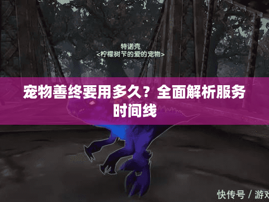 宠物善终要用多久？全面解析服务时间线