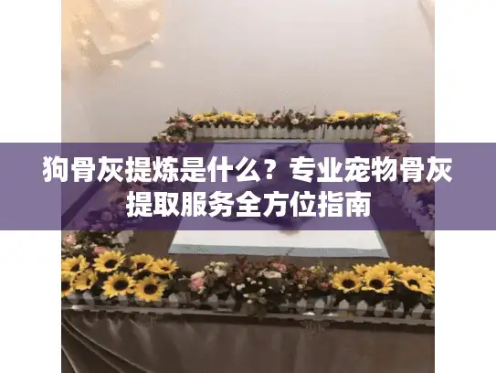 狗骨灰提炼是什么？专业宠物骨灰提取服务全方位指南