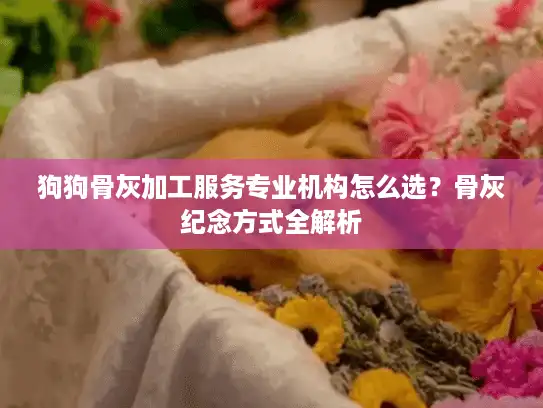 狗狗骨灰加工服务专业机构怎么选？骨灰纪念方式全解析