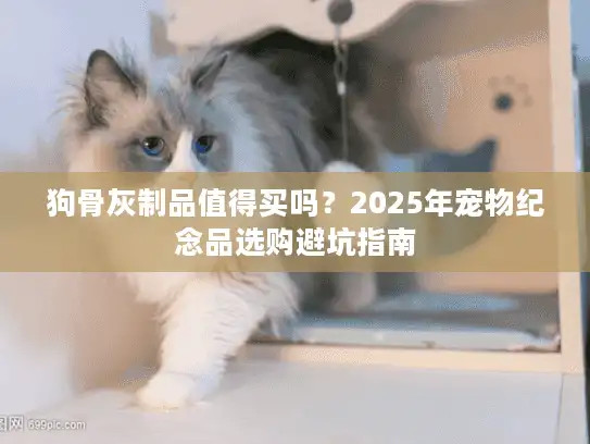 狗骨灰制品值得买吗？2025年宠物纪念品选购避坑指南