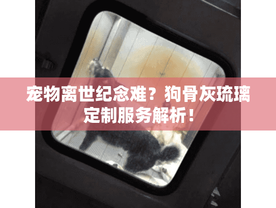 宠物离世纪念难?狗骨灰琉璃定制服务解析! 宠物离世纪念难?狗骨灰琉璃定制服务解析!