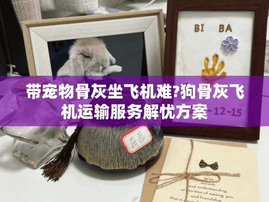 带宠物骨灰坐飞机难?狗骨灰飞机运输服务解忧方案
