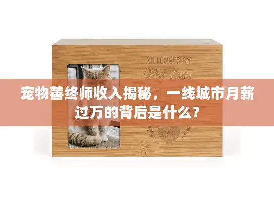 宠物善终师收入揭秘，一线城市月薪过万的背后是什么？