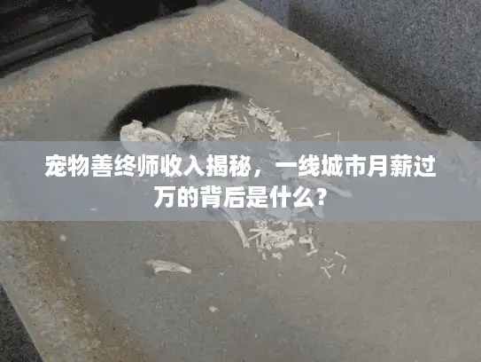 宠物善终师收入揭秘，一线城市月薪过万的背后是什么？