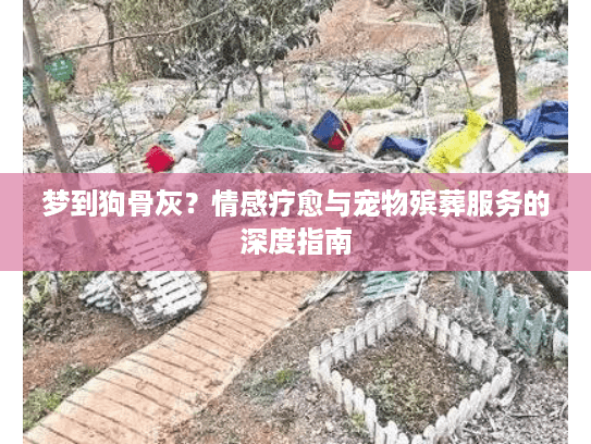 梦到狗骨灰？情感疗愈与宠物殡葬服务的深度指南