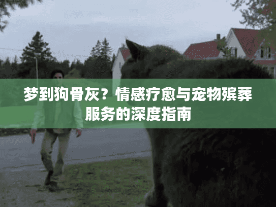 梦到狗骨灰？情感疗愈与宠物殡葬服务的深度指南