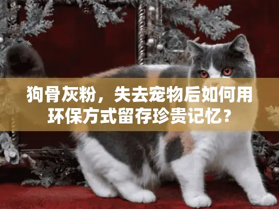 狗骨灰粉,失去宠物后如何用环保方式留存珍贵记忆? 狗骨灰粉,失去宠物后如何用环保方式留存珍贵记忆?