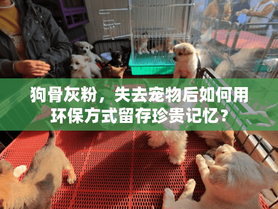 狗骨灰粉,失去宠物后如何用环保方式留存珍贵记忆? 狗骨灰粉,失去宠物后如何用环保方式留存珍贵记忆?