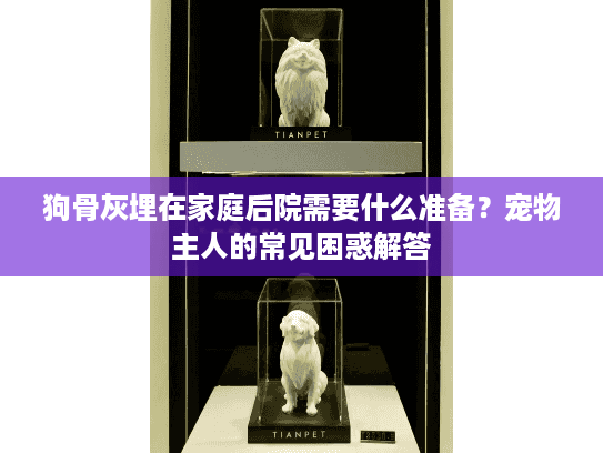 狗骨灰埋在家庭后院需要什么准备？宠物主人的常见困惑解答