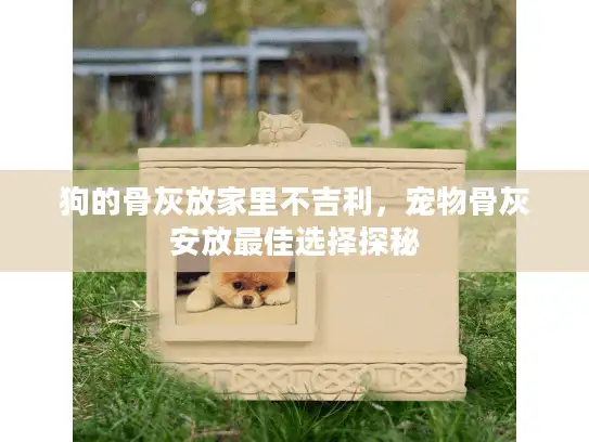 狗的骨灰放家里不吉利，宠物骨灰安放最佳选择探秘
