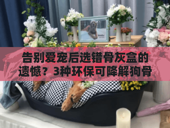 告别爱宠后选错骨灰盒的遗憾？3种环保可降解狗骨灰盒定制方案推荐