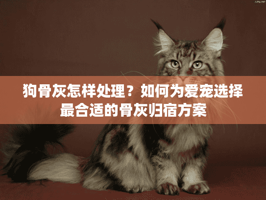 狗骨灰怎样处理？如何为爱宠选择最合适的骨灰归宿方案