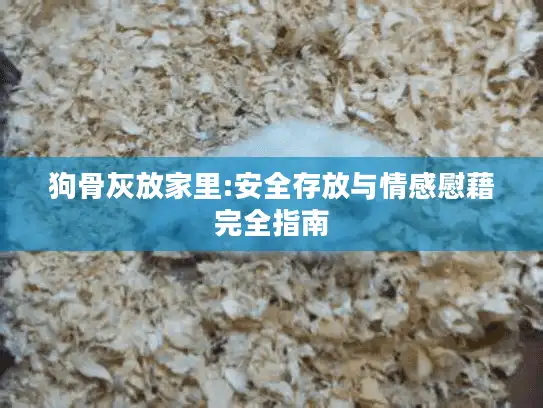 狗骨灰放家里:安全存放与情感慰藉完全指南 狗骨灰放家里:安全存放与情感慰藉完全指南