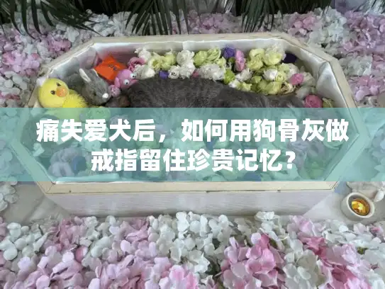 痛失爱犬后，如何用狗骨灰做戒指留住珍贵记忆？