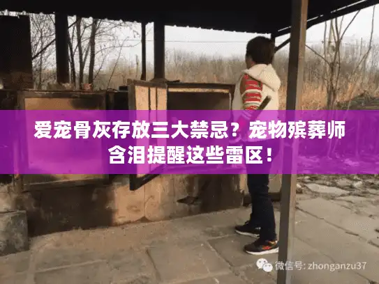 爱宠骨灰存放三大禁忌？宠物殡葬师含泪提醒这些雷区！