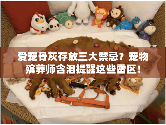 爱宠骨灰存放三大禁忌？宠物殡葬师含泪提醒这些雷区！