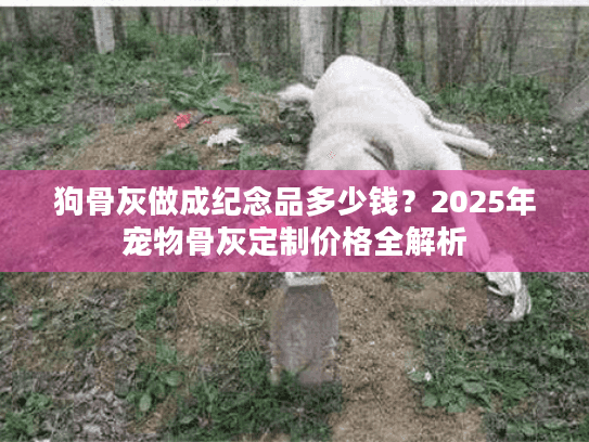 狗骨灰做成纪念品多少钱？2025年宠物骨灰定制价格全解析