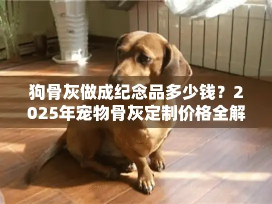 狗骨灰做成纪念品多少钱？2025年宠物骨灰定制价格全解析