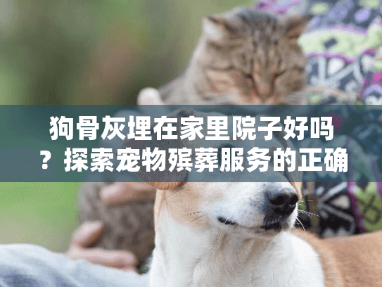 狗骨灰埋在家里院子好吗?探索宠物殡葬服务的正确选择方式 狗骨灰埋在家里院子好吗?探索宠物殡葬服务的正确选择方式