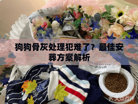 狗狗骨灰处理犯难了？最佳安葬方案解析