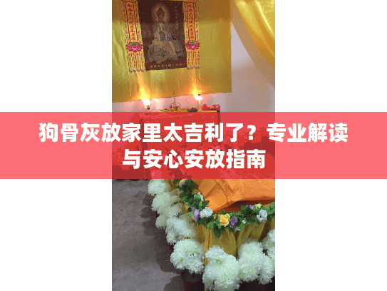 狗骨灰放家里太吉利了？专业解读与安心安放指南