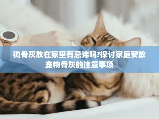 狗骨灰放在家里有忌讳吗?探讨家庭安放宠物骨灰的注意事项