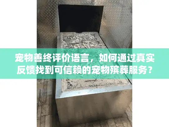 宠物善终评价语言，如何通过真实反馈找到可信赖的宠物殡葬服务？