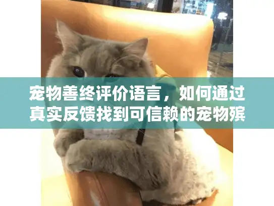 宠物善终评价语言，如何通过真实反馈找到可信赖的宠物殡葬服务？
