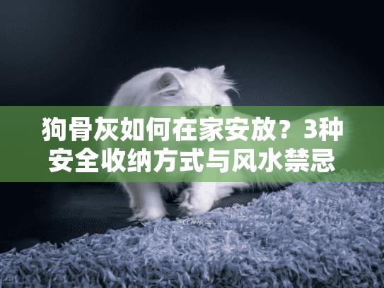 狗骨灰如何在家安放？3种安全收纳方式与风水禁忌解析