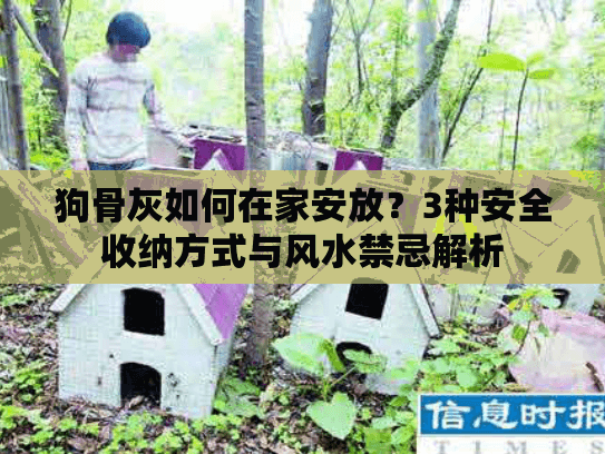 狗骨灰如何在家安放？3种安全收纳方式与风水禁忌解析